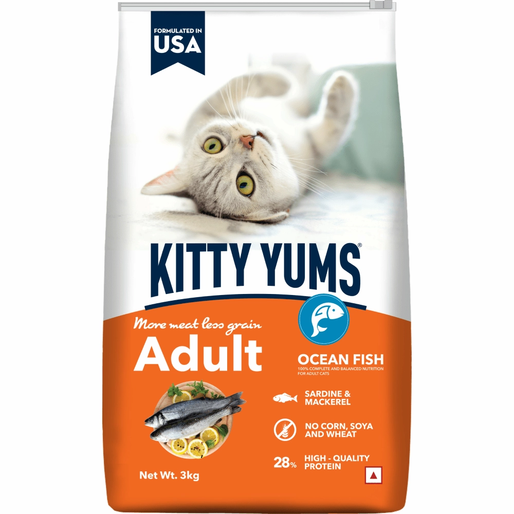 Kitty Yums Ocean Fish Adult (1  years) Cat Dry Food