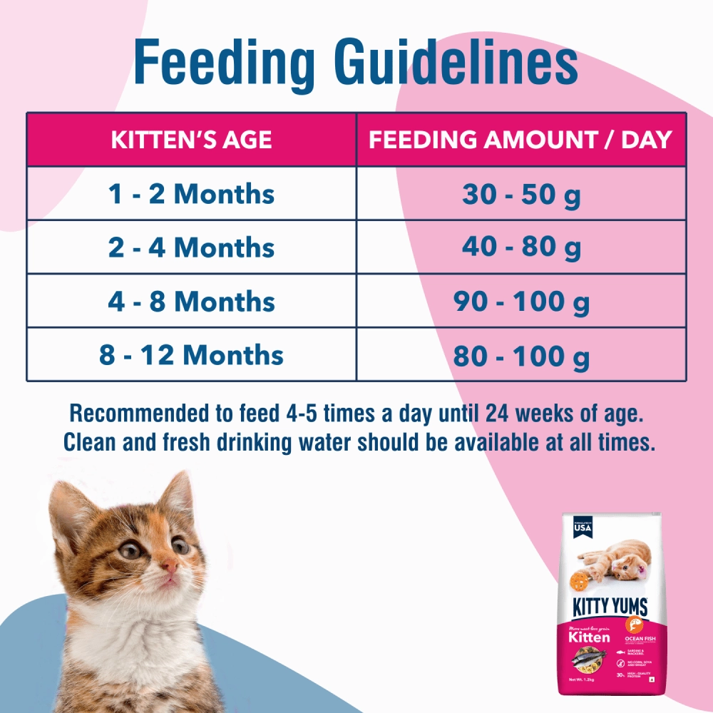 Kitty Yums Ocean Fish Kitten Dry Food, Me O Creamy Chicken Liver Cats Treats Combo