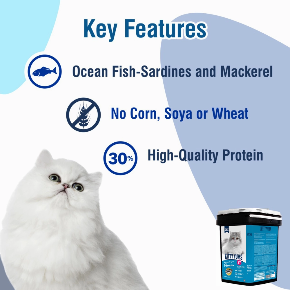Kitty Yums Ocean Fish Persian Dry Food, Sheba Tuna Prawn Maguro Melty Premium Cats Treats Combo