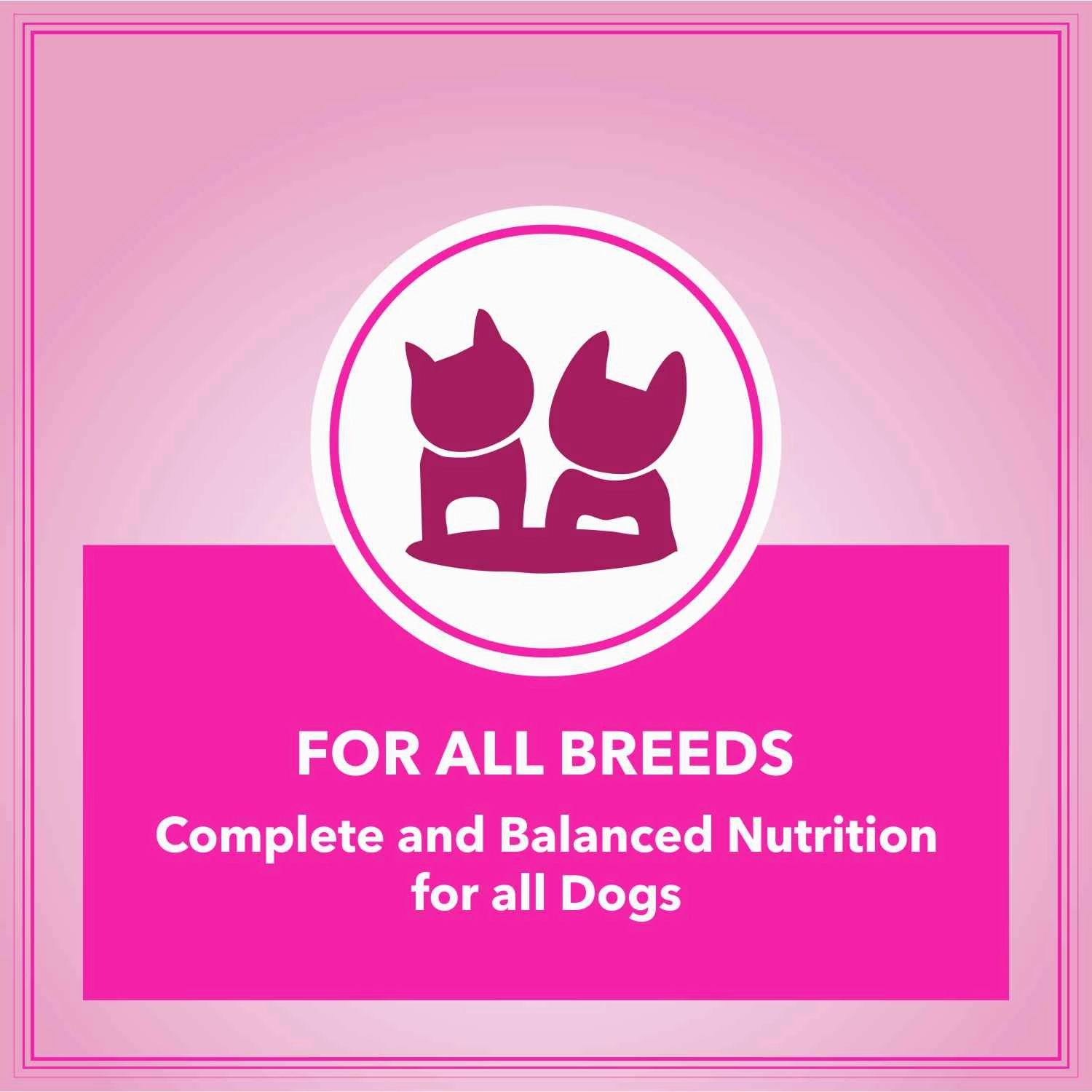 Let's Bite Active Adult Chicken Dry Food for Dogs