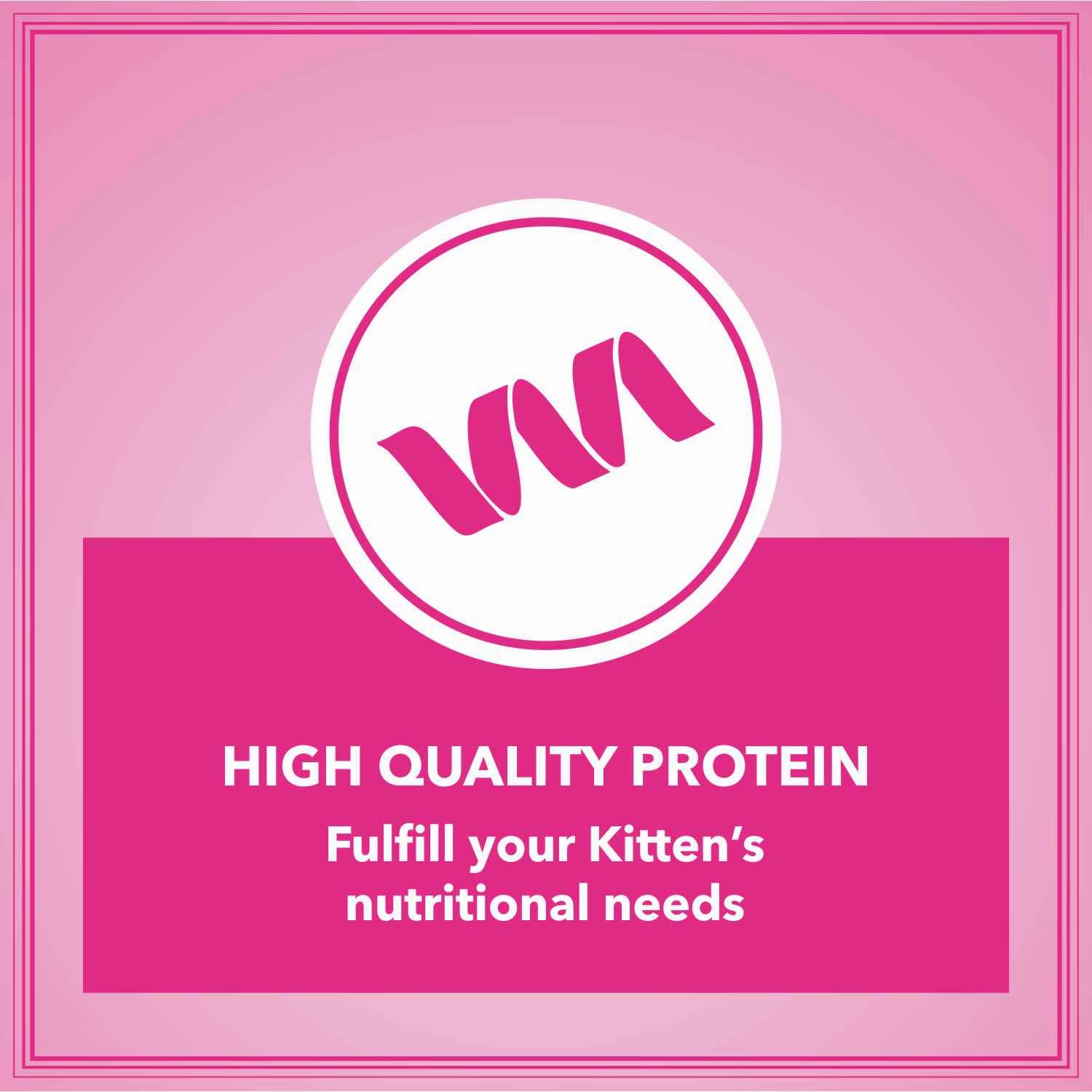Let's Bite Active Kitten Ocean Fish Cat Dry Food (Buy 1 Get 1 Free)