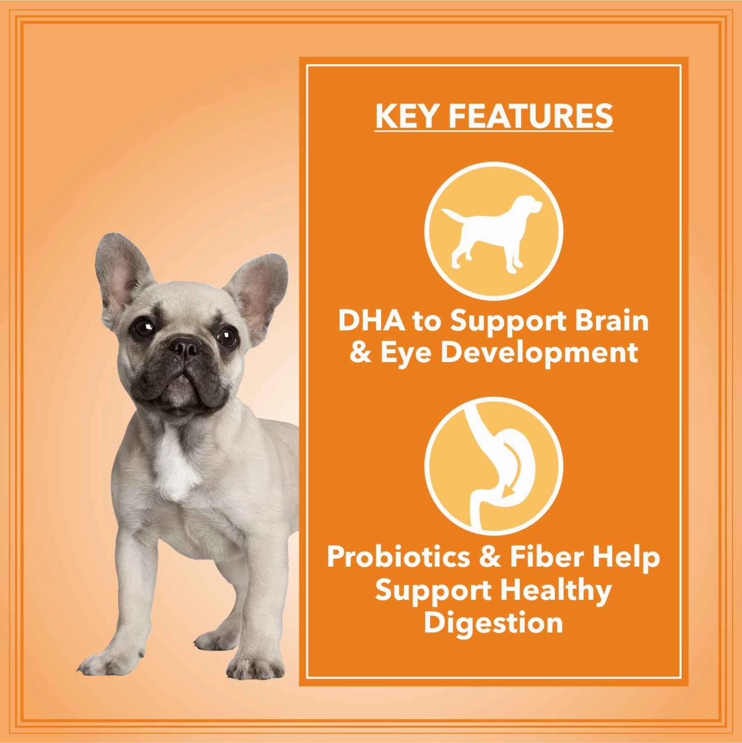 Let's Bite Active Puppy Chicken Dog Dry Food