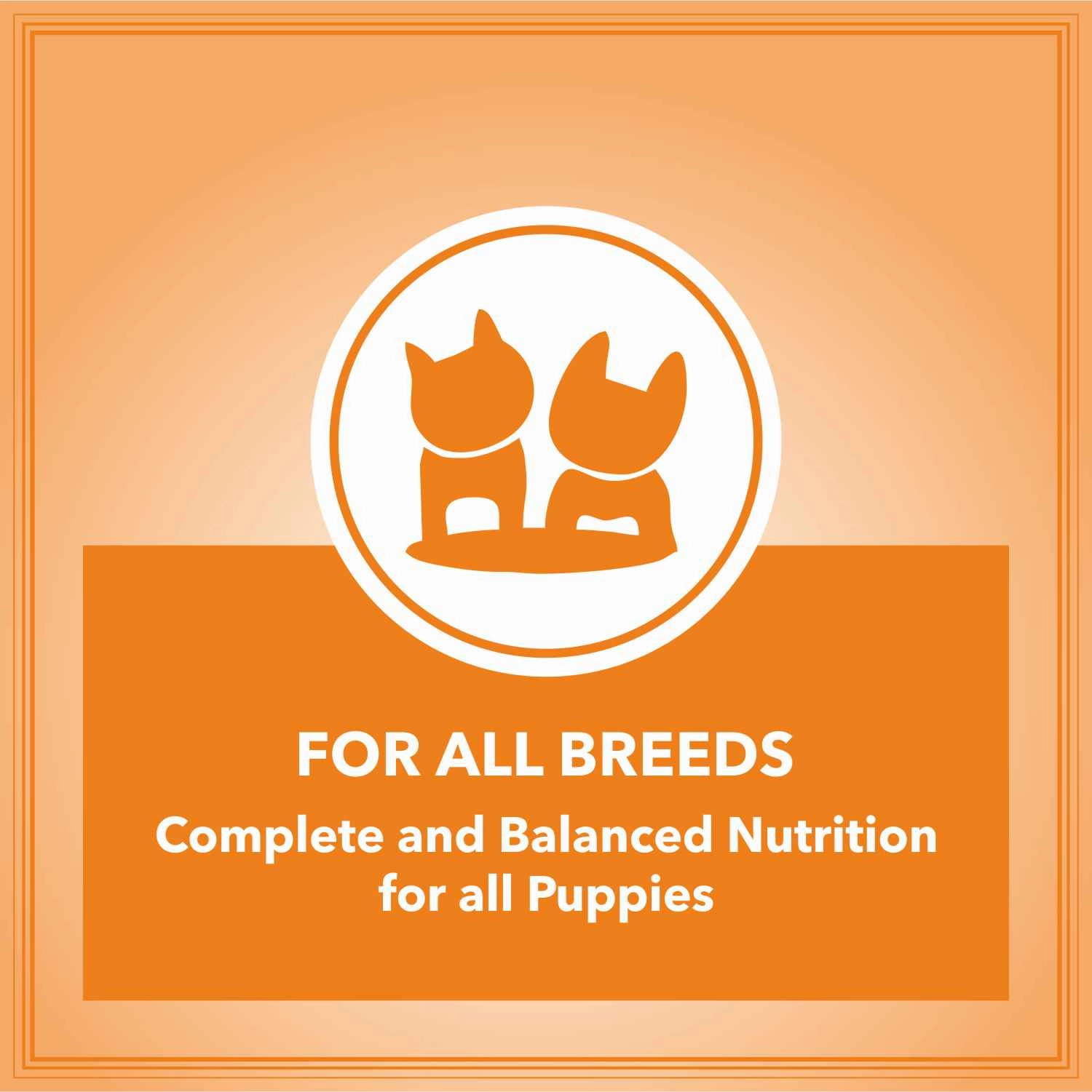 Let's Bite Active Puppy Chicken Dog Dry Food
