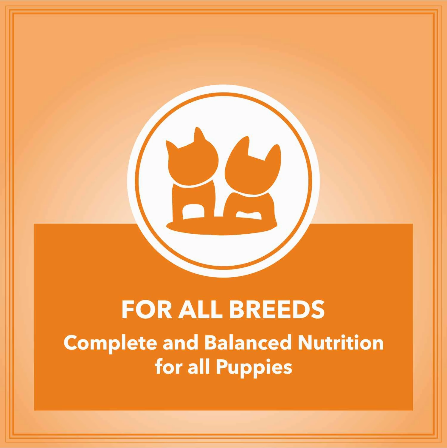 Let's Bite Active Puppy Chicken Dog Dry Food