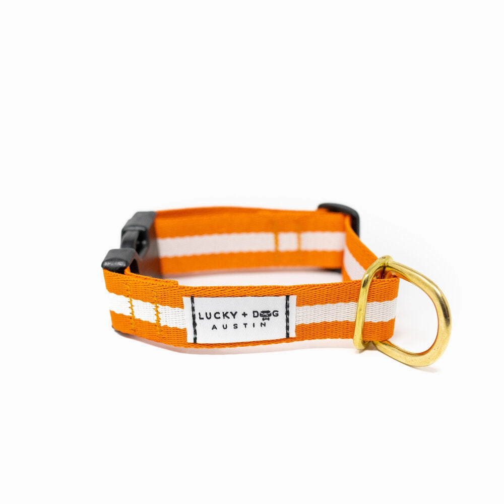 Lucky   Dog Austin Every Day Collar