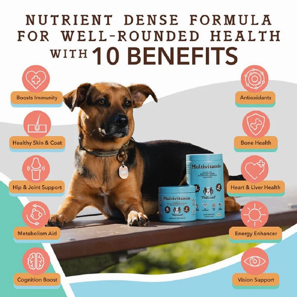 Multivitamin Supplement for Dogs