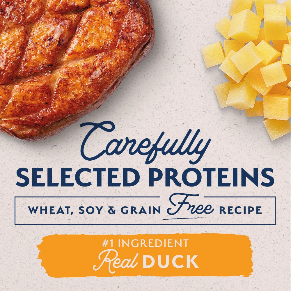 Natural Balance L.I.D. Limited Ingredient Diets Potato & Duck Small Breed Bites Dry Dog Food