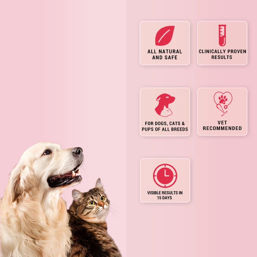 Natural Remedies Natgut Granules 4.2 GMS Sachet Supplement for Cats and Dogs