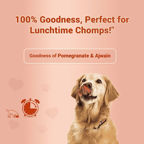 Natural Remedies Treat O'Clock Chicken and Egg Treats for Dogs