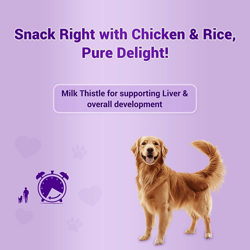 Natural Remedies Treat O'Clock Chicken and Rice Treats for Dogs