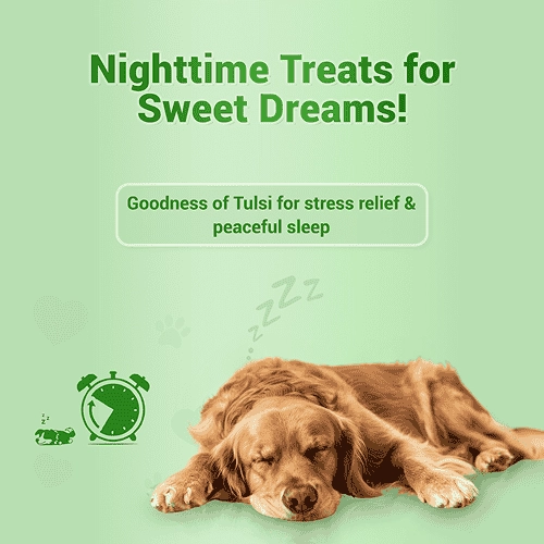 Natural Remedies Treat O'Clock Hemp with Chicken Meat Treats for Dogs