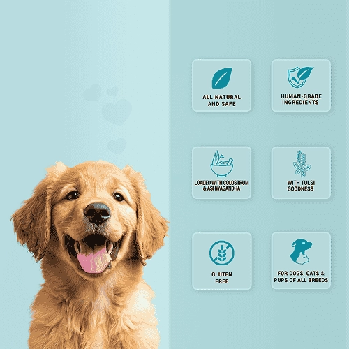 Natural Remedies Treat O'Clock Milk with Chicken Meat Treats for Dogs