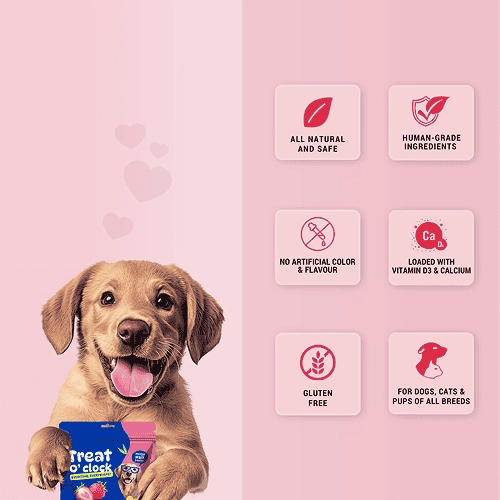 Natural Remedies Treat O'Clock Strawberry, Fresh Me Up Shampoo & Orthoron Joint Support Tablets Dog Combo