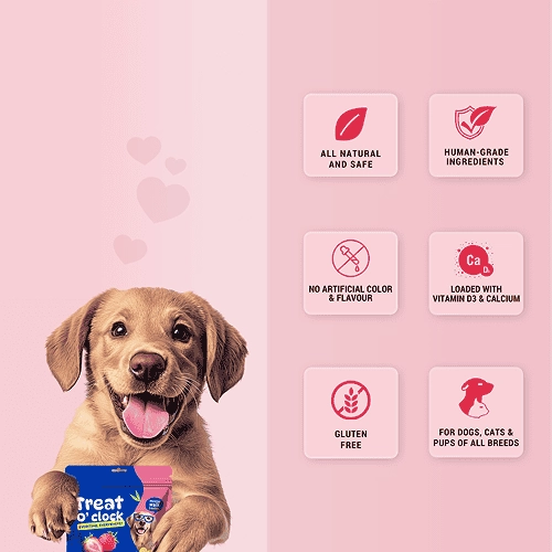 Natural Remedies Treat O'Clock Strawberry with Chicken Meat Treats for Dogs