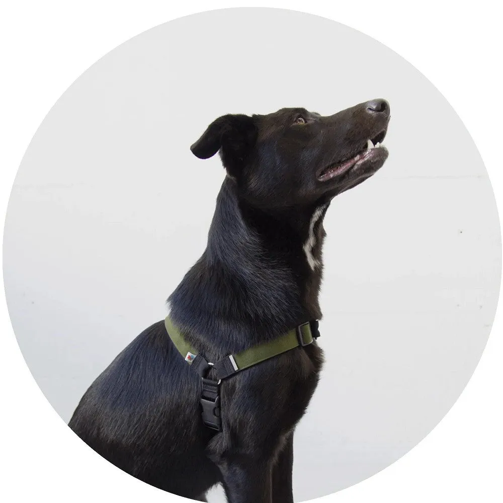No-Pull Dog Harness