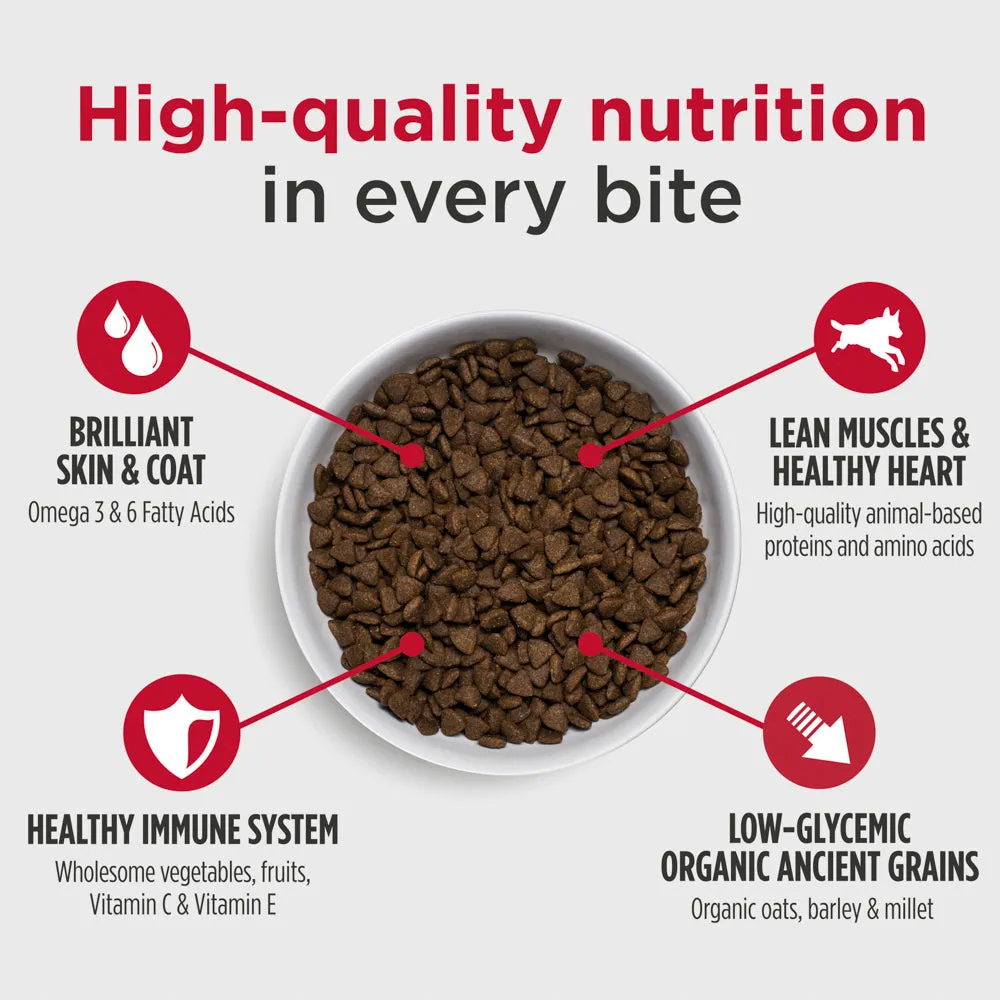 Nulo Challenger Northern Catch Puppy and Adult Dry Dog Food