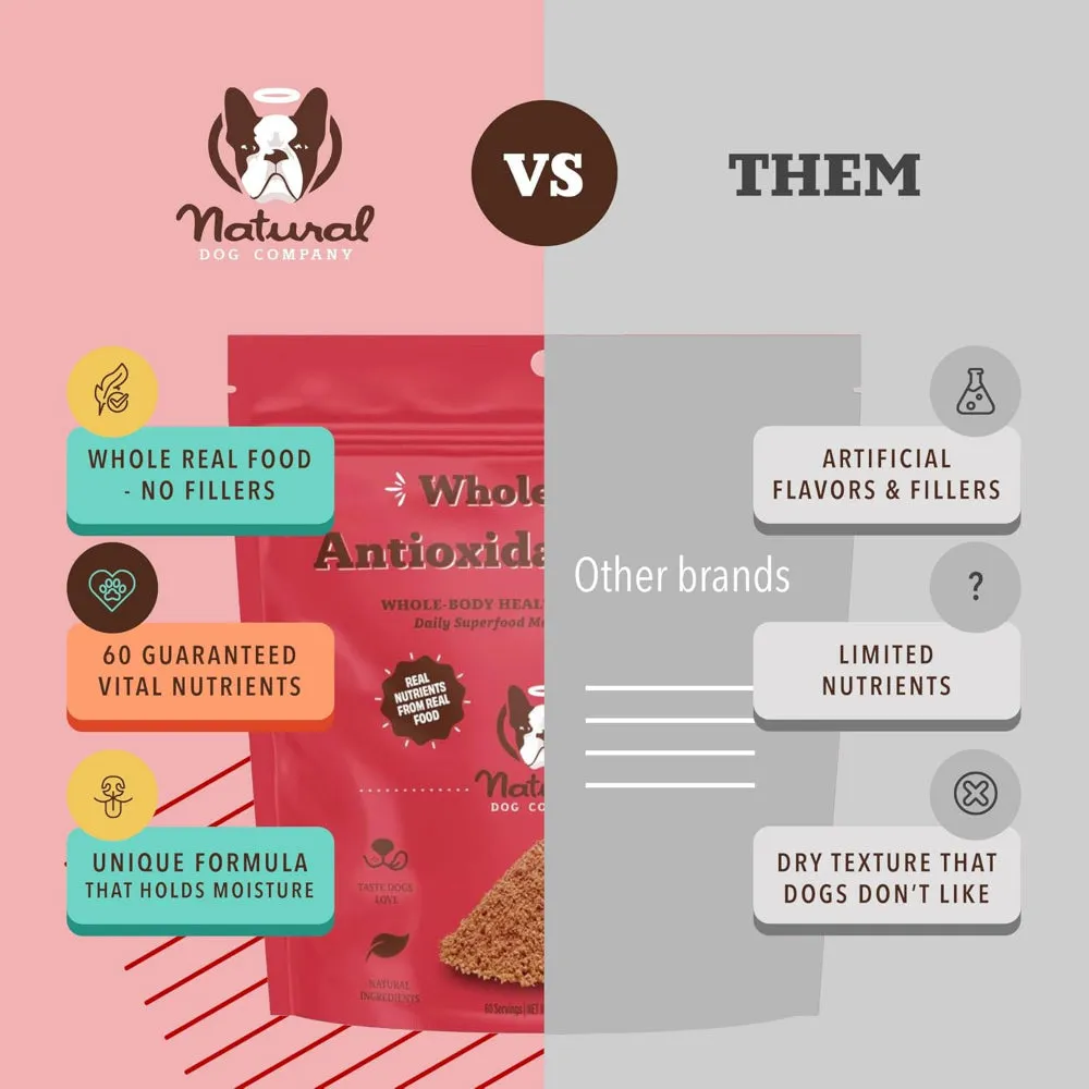 Nutrient-Dense Boost - Antioxidant Berry Dog Meal Topper