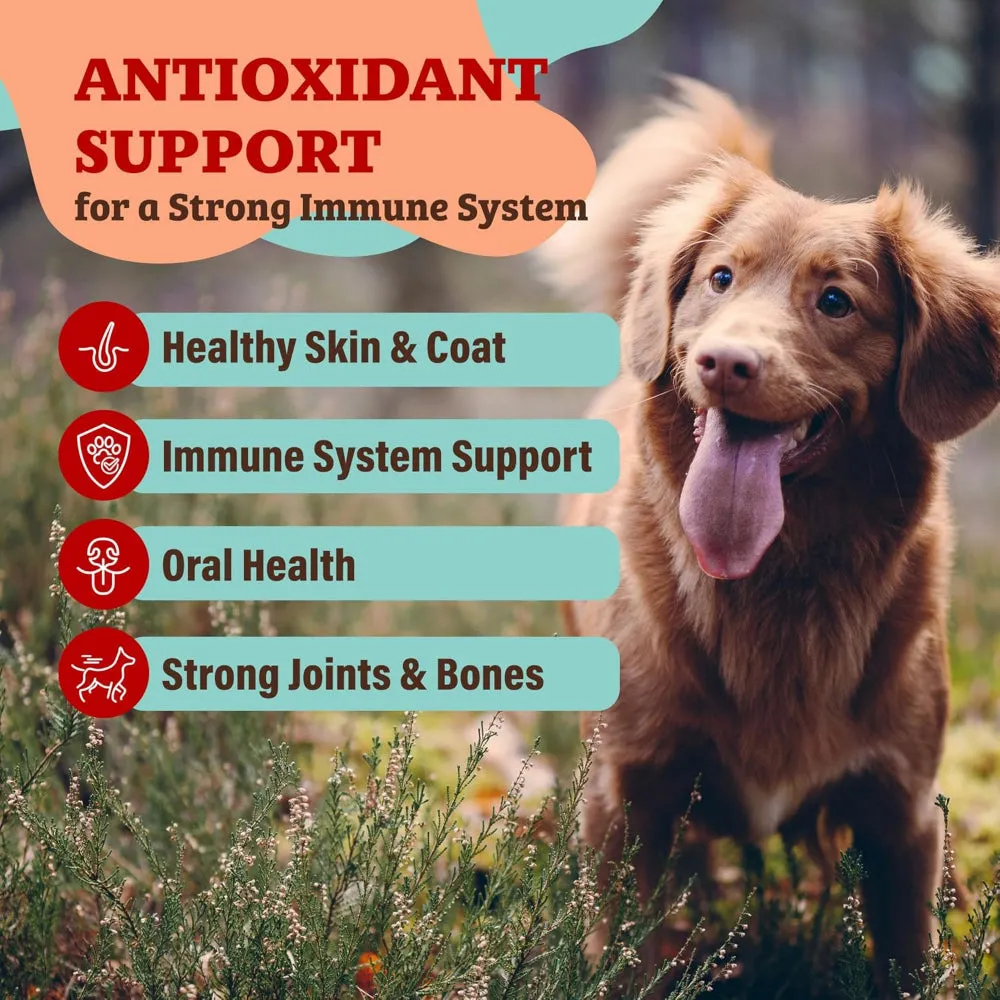 Nutrient-Dense Boost - Antioxidant Berry Dog Meal Topper