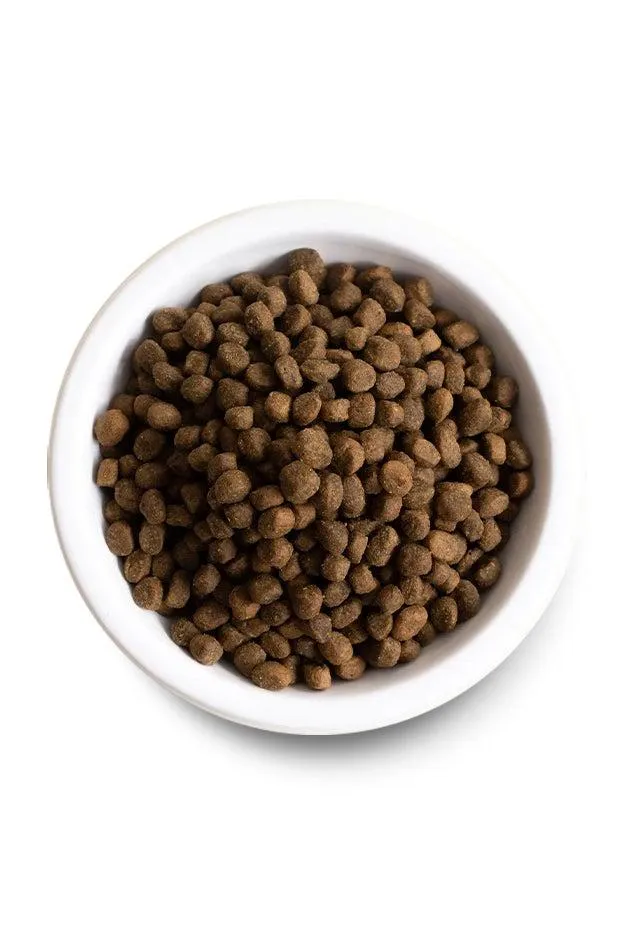 Open Farm Grass-Fed Beef and Ancient Grains Dry Dog Food