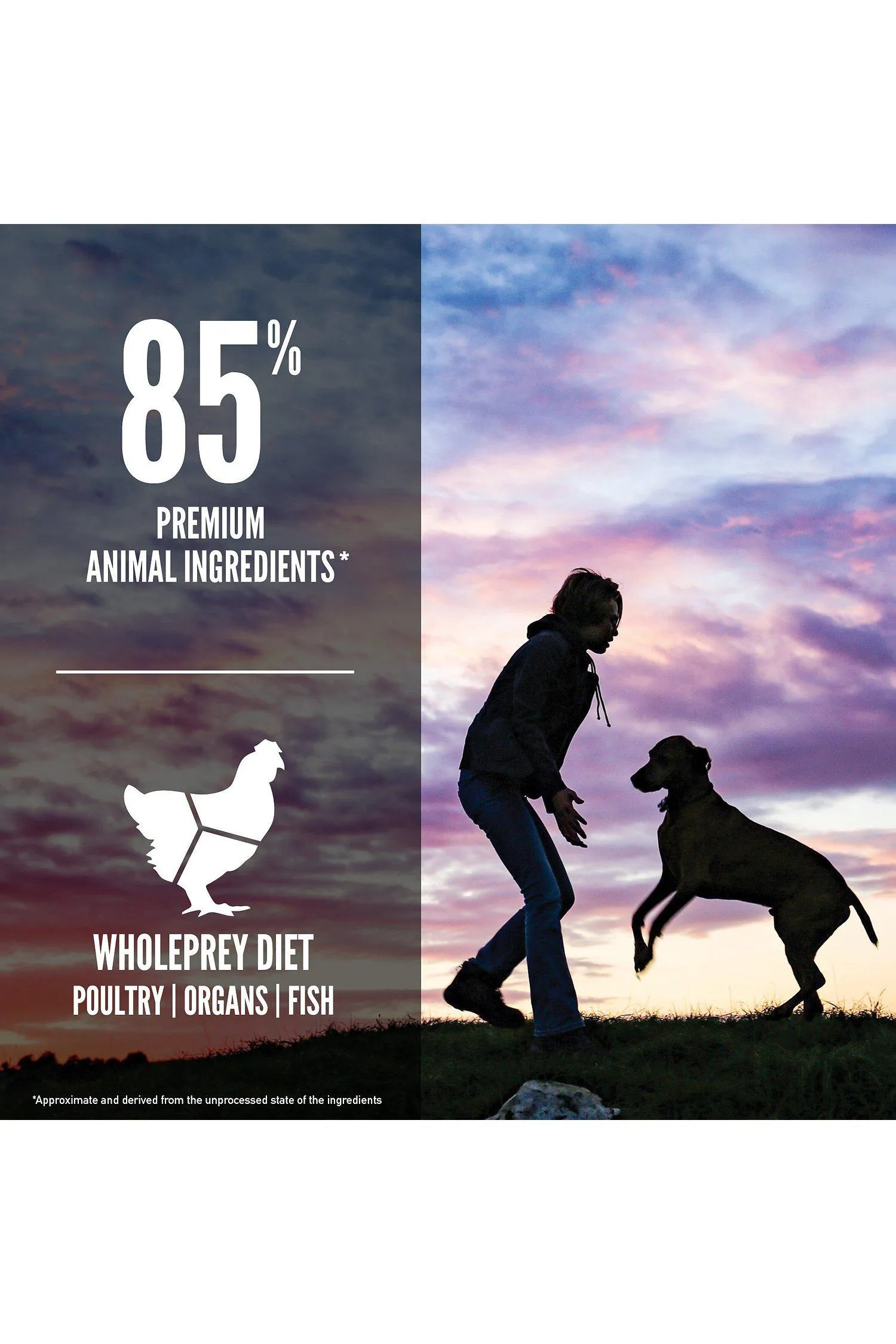 Orijen Large Breed Puppy Dry Food