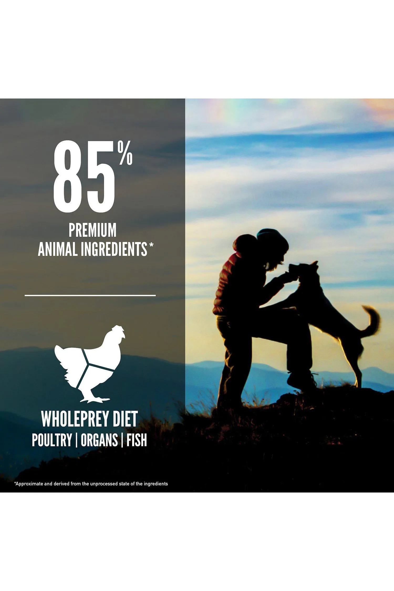 Orijen Original Dry Dog Food