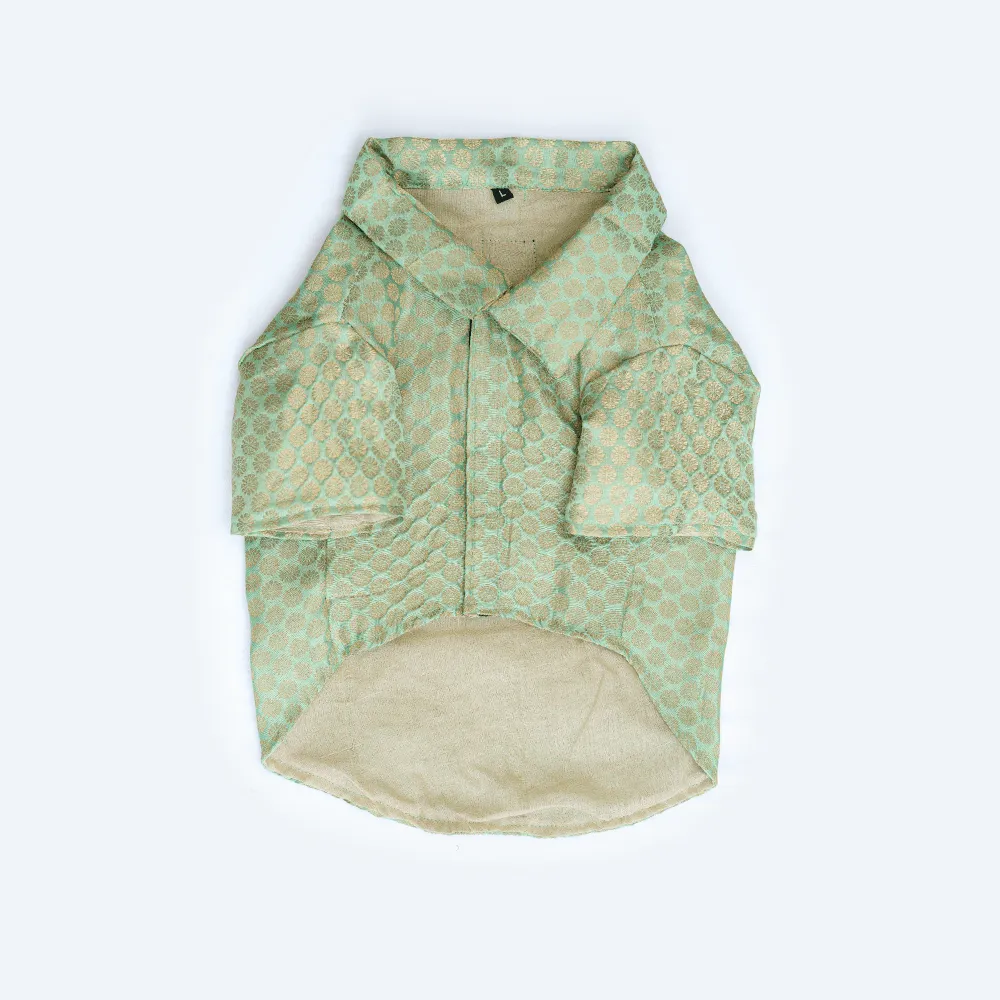 Pawgypets Occasion Wear Shirt for Dogs and Cats (Pista Green)