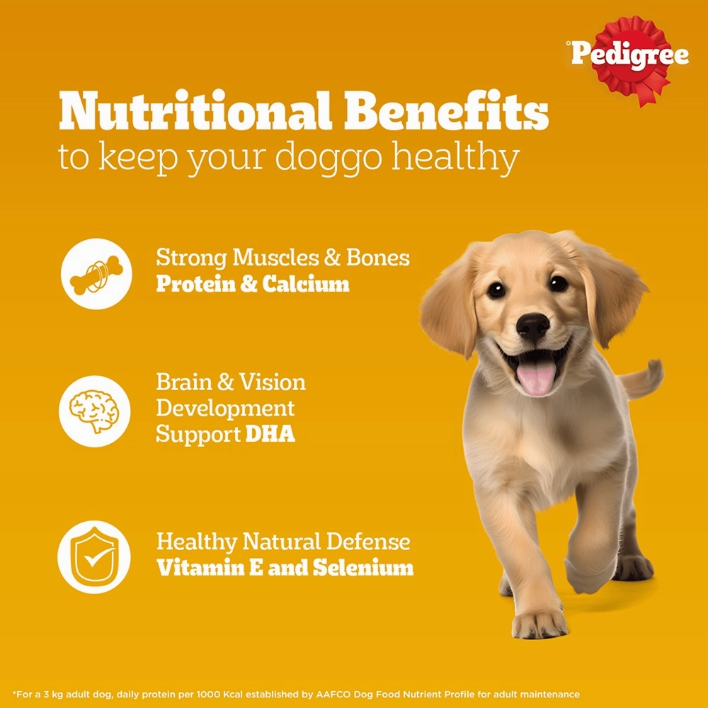 Pedigree Chicken and Liver Chunks in Gravy Pouch Puppy Dog Wet Food (130g)