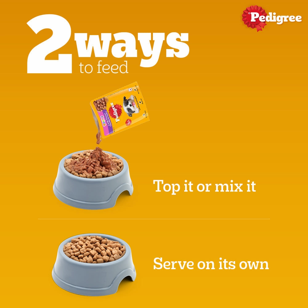 Pedigree Chicken and Milk and Chicken Chunks in Gravy Puppy Dry and Wet Food Combo
