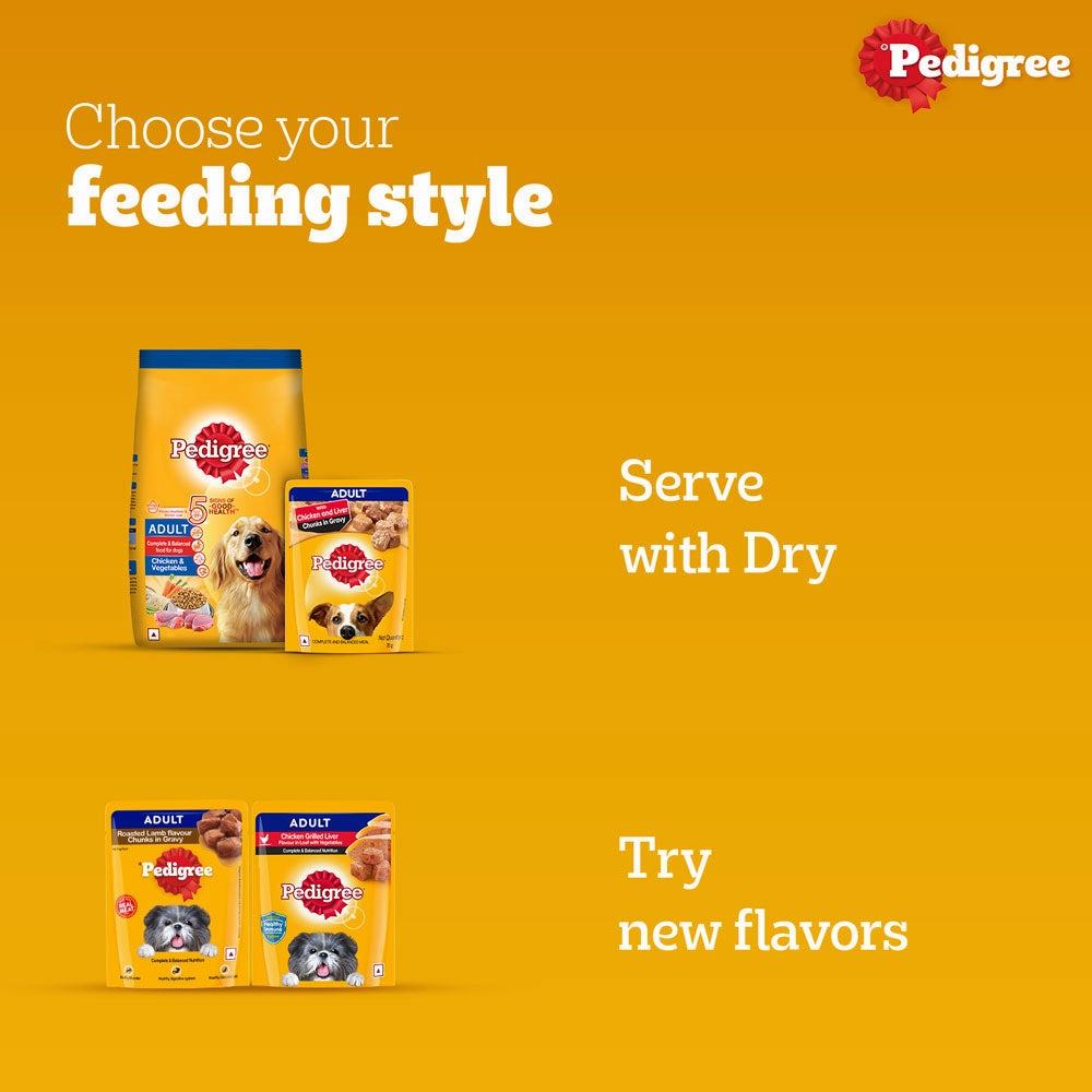 Pedigree PRO Expert Nutrition Active Adult (18 Months Onwards) Large Breed and Chicken and Liver Chunks in Gravy Wet Adult Dog Food Combo