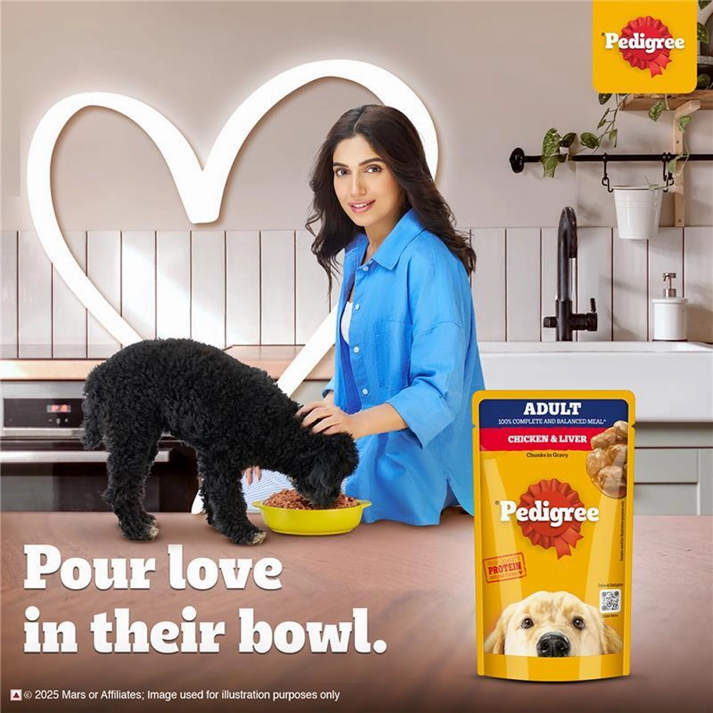 Pedigree PRO Expert Nutrition Active Adult Large Breed Dry Food and Pedigree Chicken & Liver Chunks in Gravy Adult Dog Wet Food Combo