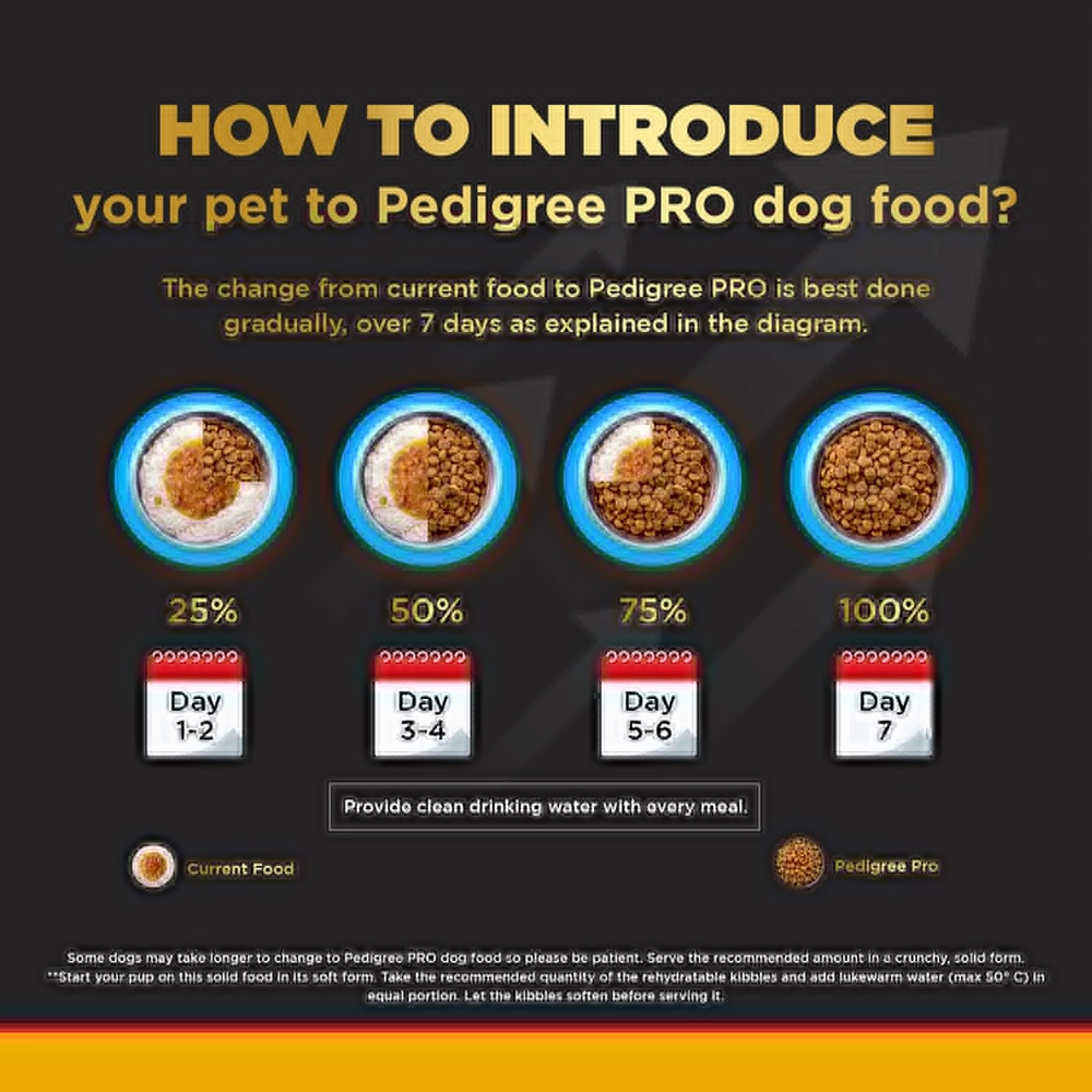 Pedigree PRO Expert Nutrition Active Adult Large Breed Dry Food and Pedigree Chicken & Liver Chunks in Gravy Adult Dog Wet Food Combo