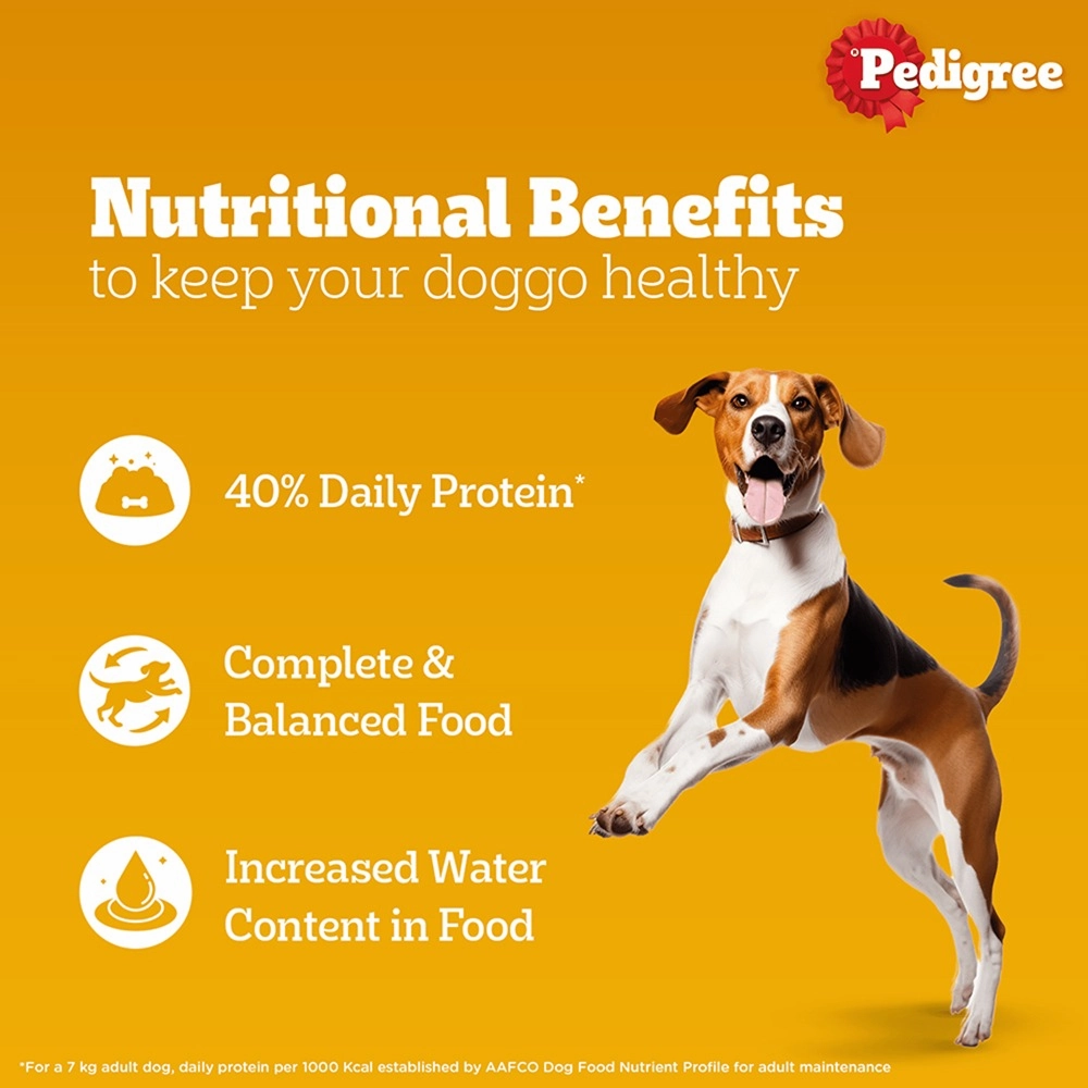 Pedigree PRO Expert Nutrition Active Adult Large Breed Dry Food and Pedigree Chicken & Liver Chunks in Gravy Adult Dog Wet Food Combo