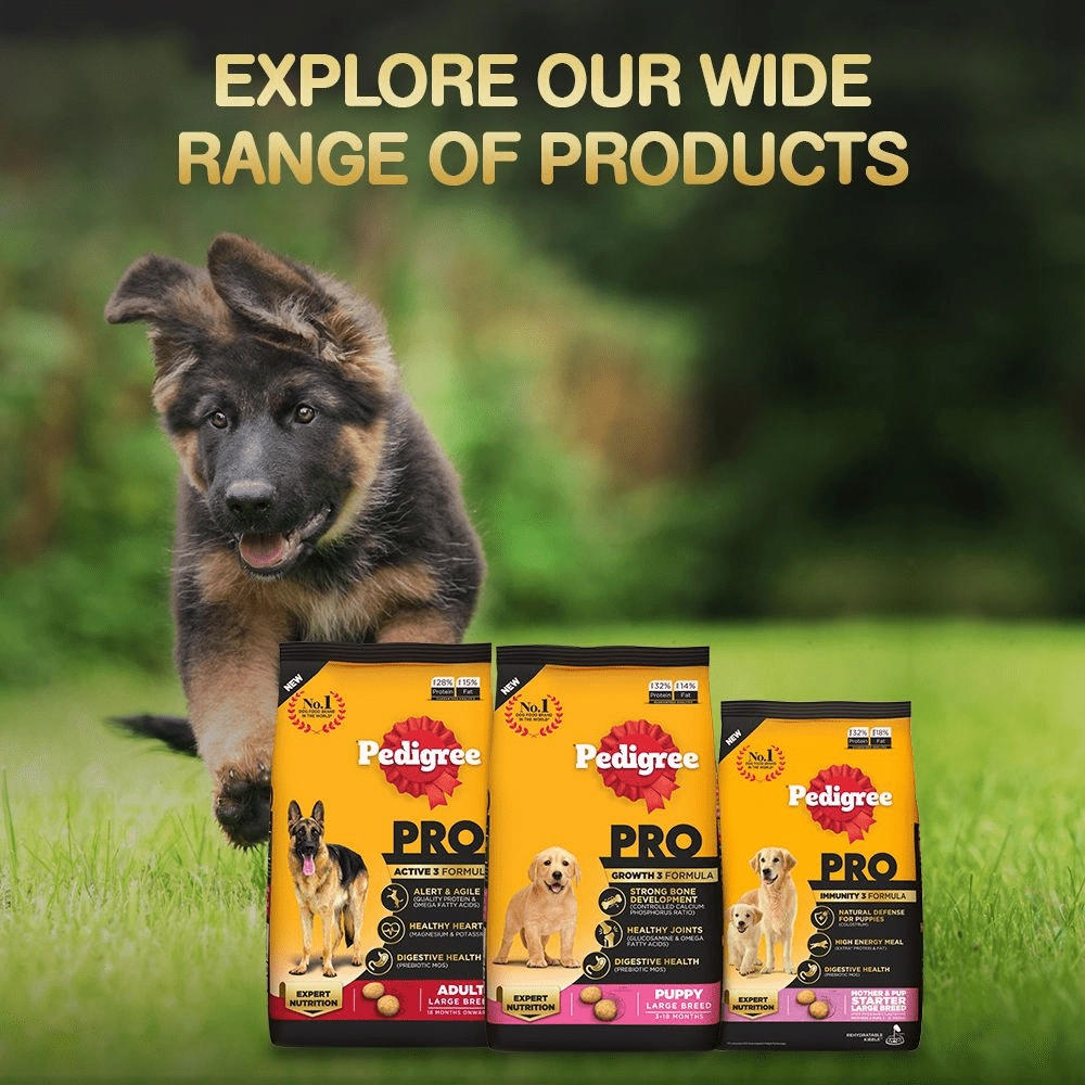 Pedigree PRO Expert Nutrition for Large Breed Puppy Dry and Chicken Chunks in Gravy Puppy Wet Food Combo