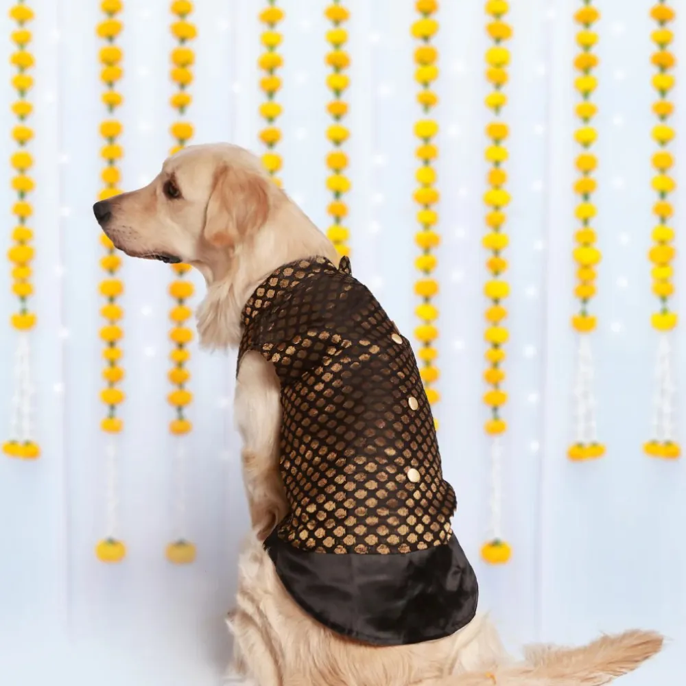 Pet Set Go Kurta for Dogs (Black)