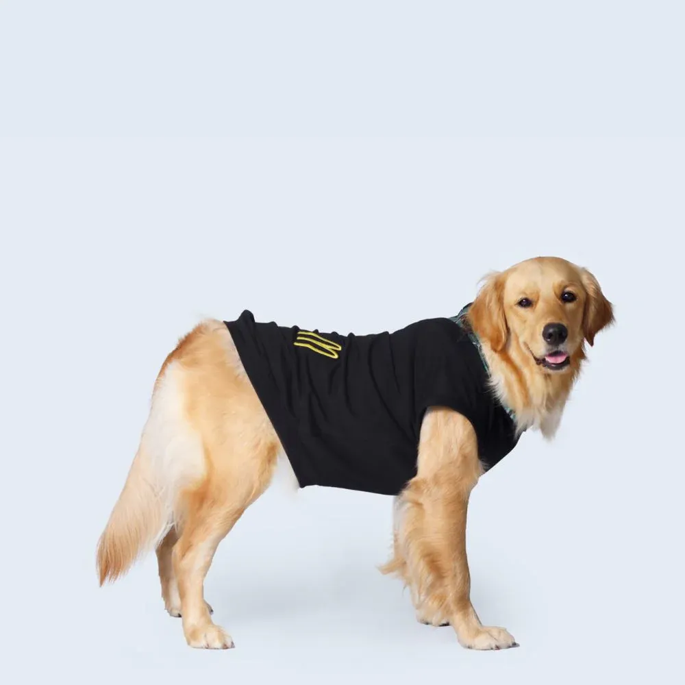 Pet Set Go Polo Knit Tshirt for Dogs (Black)