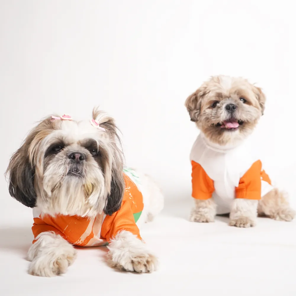 Pets Way Style 2 Republic Day T Shirt for Dogs