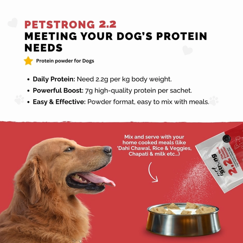 PetStrong 2.2  Meal Protein Booster for Dogs