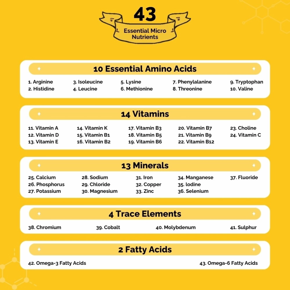 PetStrong Chicken and Rice Fresh Food and 2.2  Meal Protein Booster for Dogs Combo