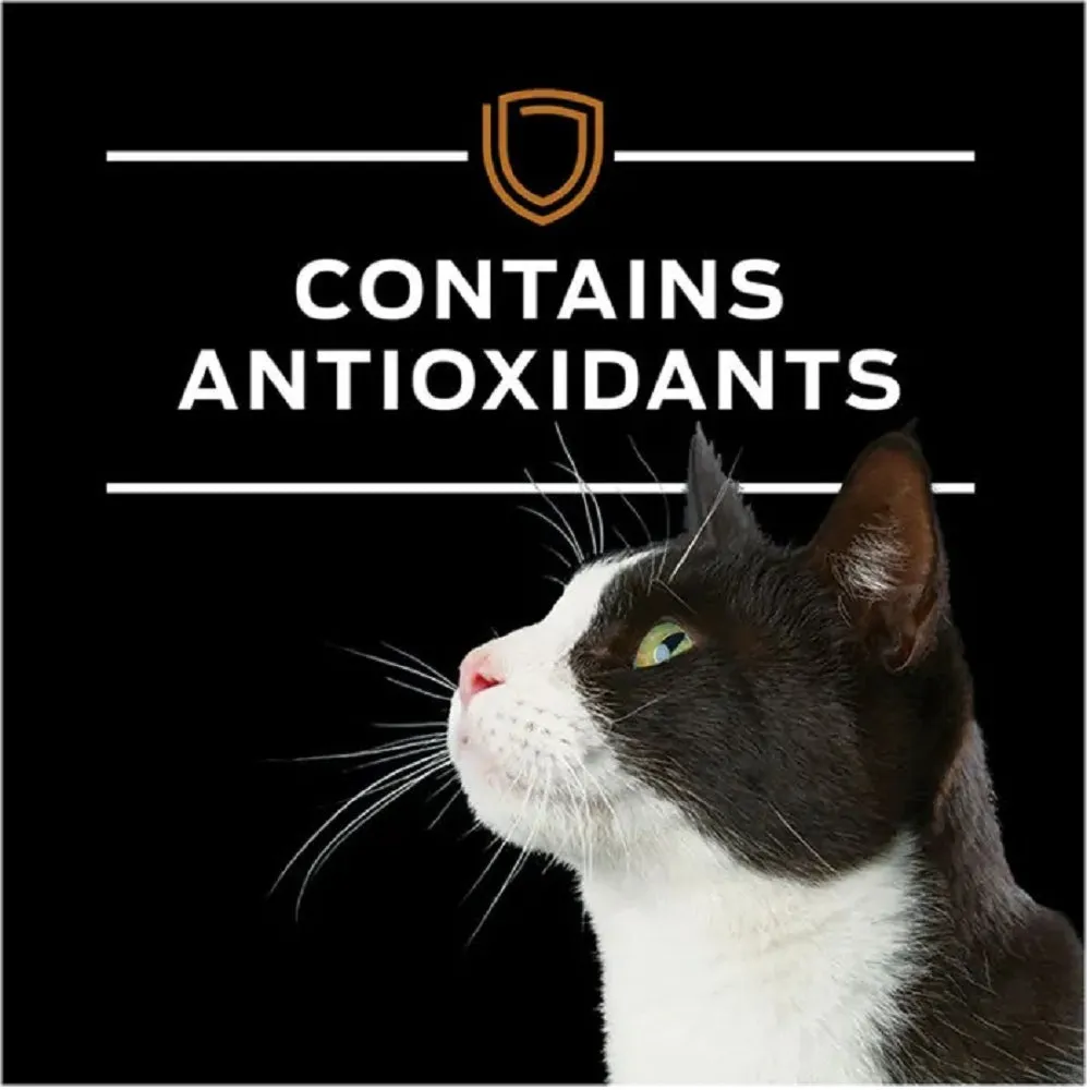 Pro Plan Veterinary Diets - Advanced Care - NF Kidney Function Cat Can