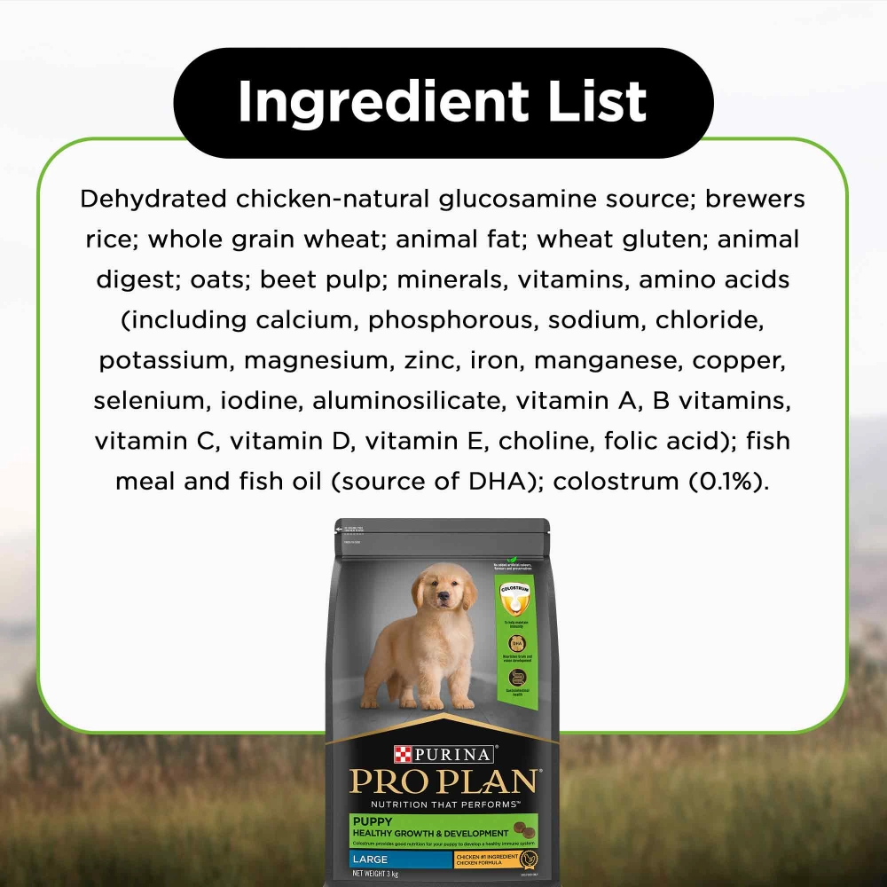 Pro Plan Chicken Large Breed Puppy Dog Dry Food (New Improved Formula)