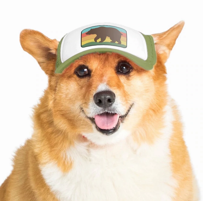 Puplid Trucker Hat
