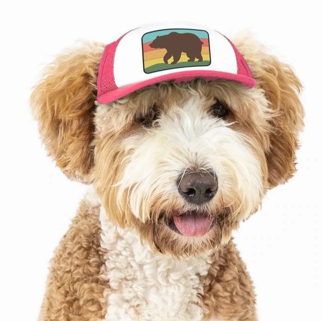 Puplid Trucker Hat