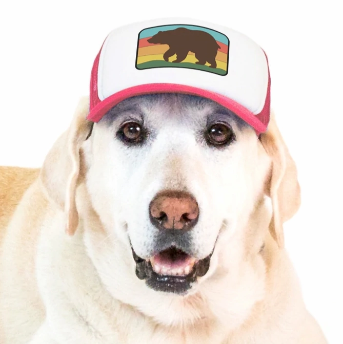 Puplid Trucker Hat