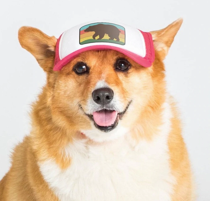 Puplid Trucker Hat