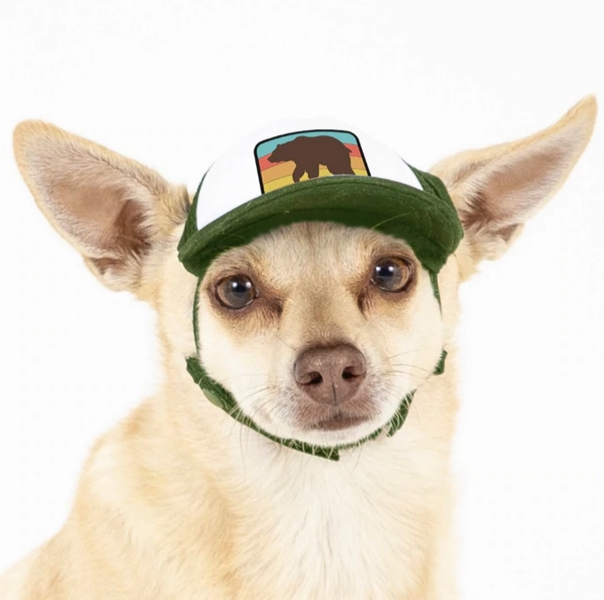 Puplid Trucker Hat
