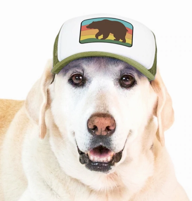 Puplid Trucker Hat