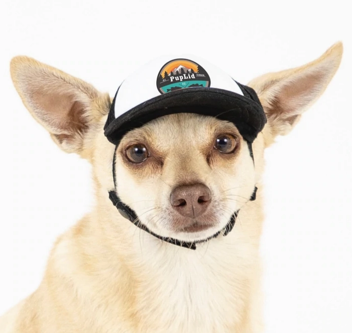Puplid Trucker Hat