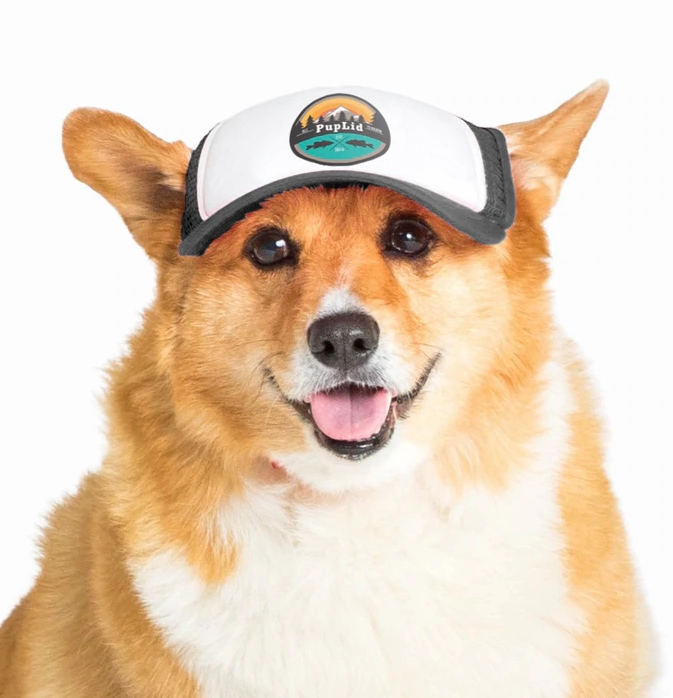 Puplid Trucker Hat