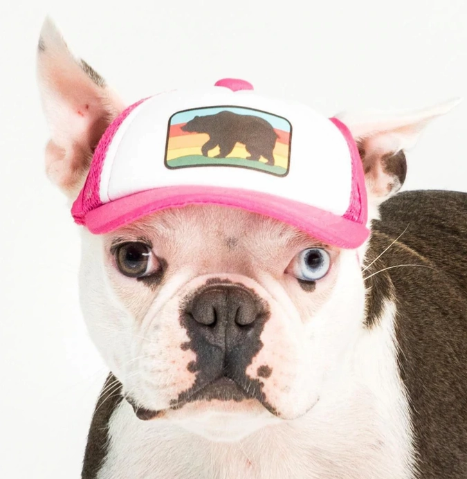 Puplid Trucker Hat