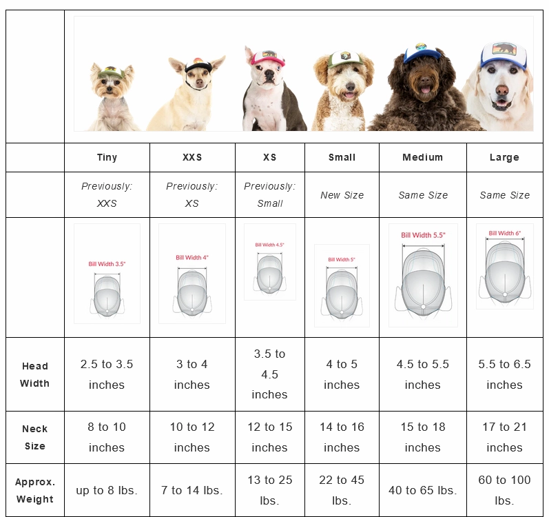 Puplid Trucker Hat